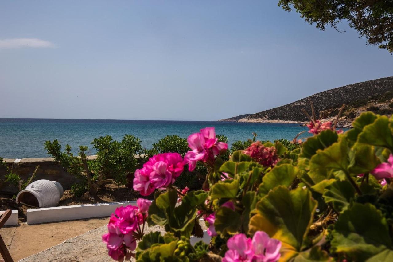 Pension Ageliki Sifnos Platis Gialos  ภายนอก รูปภาพ